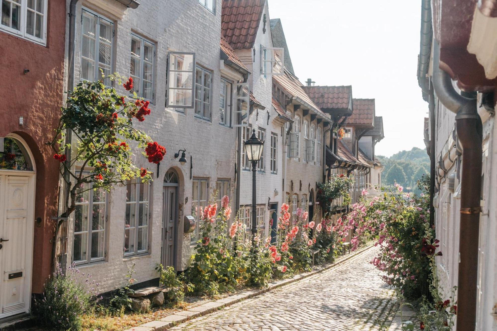 Grosses Apartment Mit 2 Balkonen Zentral Am Nordertor เฟลนส์บวร์ก ภายนอก รูปภาพ